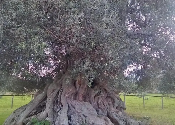 Su Coru E Su Entu * Villamassargia